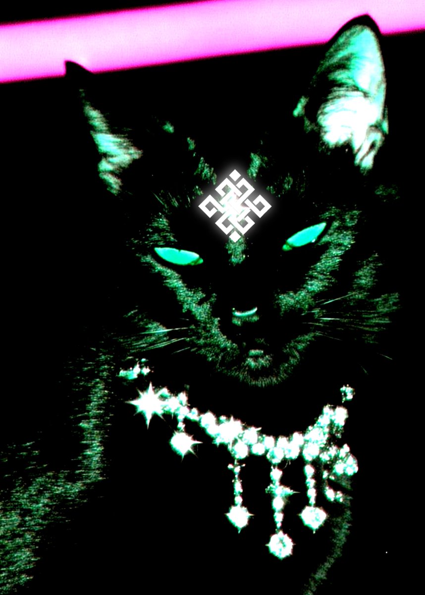 EvanBucin's tweet image. ❖ ONLY ON RITUAL ❖
❖ SIGGY MODE OLD MONEY ❖

tried to understand Infernet’s node architecture.
a bit complex, but I like its openness.
anyone can contribute, not just the core team
#learning #infernet