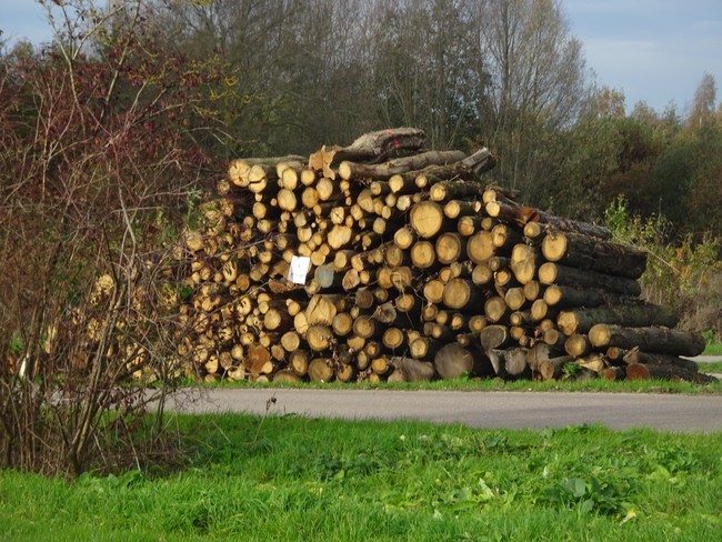 PvdA Lansingerland tweet media