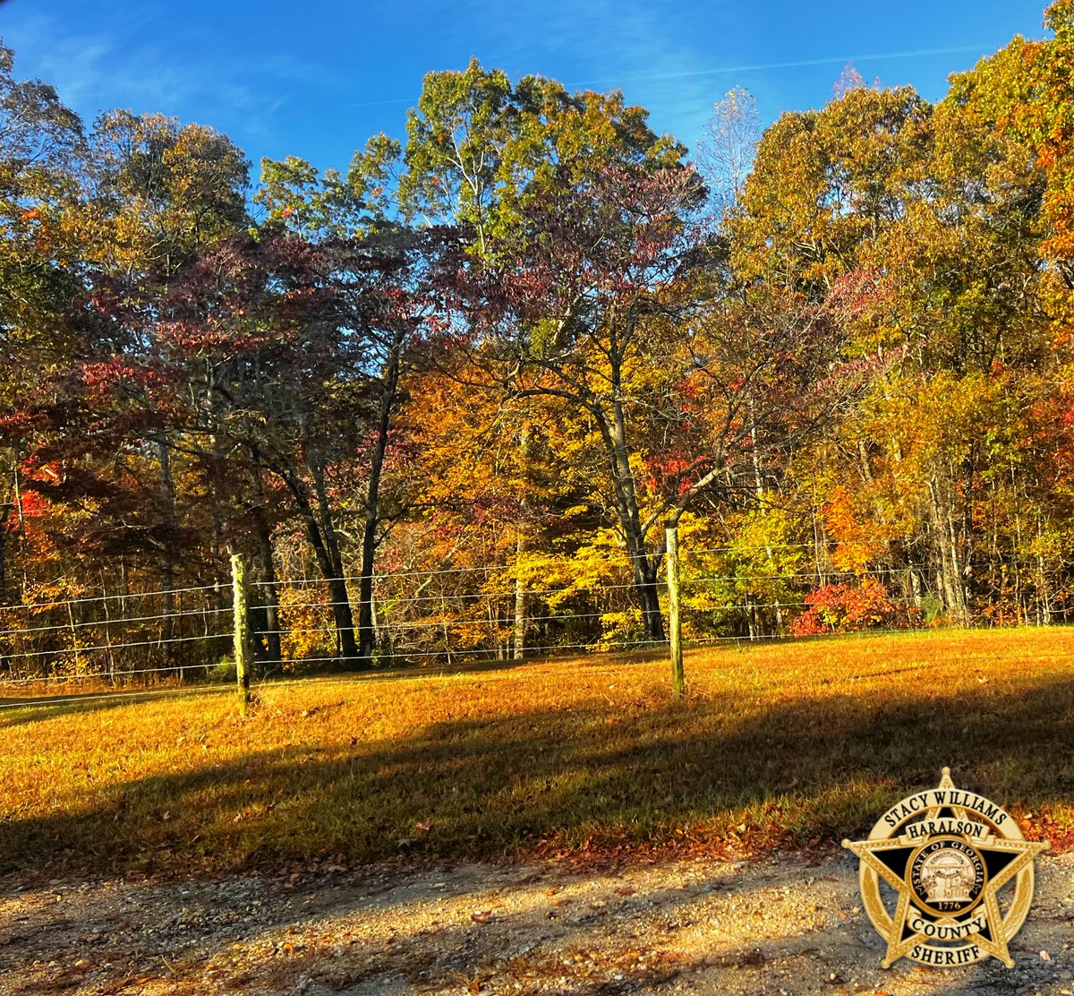 HaralsonSheriff's tweet image. Good Friday morning, Haralson. We hope y’all have a fantastic day!

“In November, the earth is growing quiet. It is making its bed, a winter bed for flowers and small creatures.” — Cynthia Rylant

#HaralsonMornings
#FinallyFriday
#Weekend
#AutumnInHaralson
#HCSO