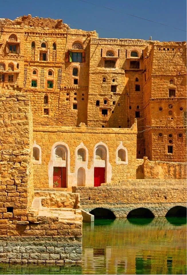 جينات اليمن Yemen's genes tweet media