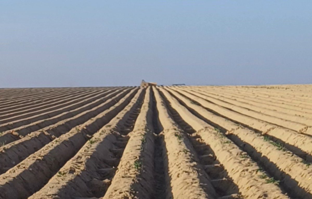 LATDEV_LV's tweet image. 🇱🇻🌍 Latvia continues to strengthen development cooperation in Africa. Recent pre-assessment visits focused on opportunities for joint initiatives in 🇪🇬 Egypt (agriculture, food safety), 🇿🇼 Zimbabwe (support to small producers) and 🇺🇬 Uganda (climate and digitalisation).
#LATDEV