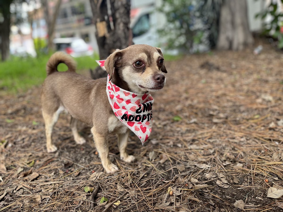 Con Kirby estamos en la misma situación,su pensión de octubre venció el día 14 y no se ha pagado,y hoy ya vuelve a vencer 🥲

No lo estamos logrando amigos.😔