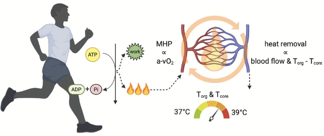 Sean Langan, PhD tweet media