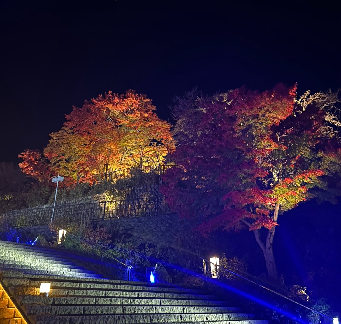 3m (ｰ̀֊ｰ́˶ჱ̒