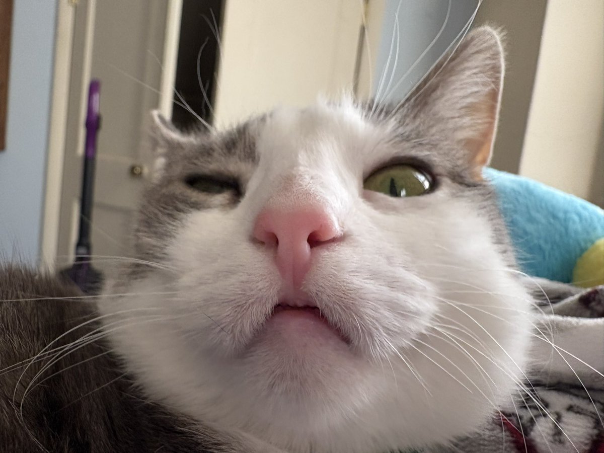 saw a buge flyin round 🐞