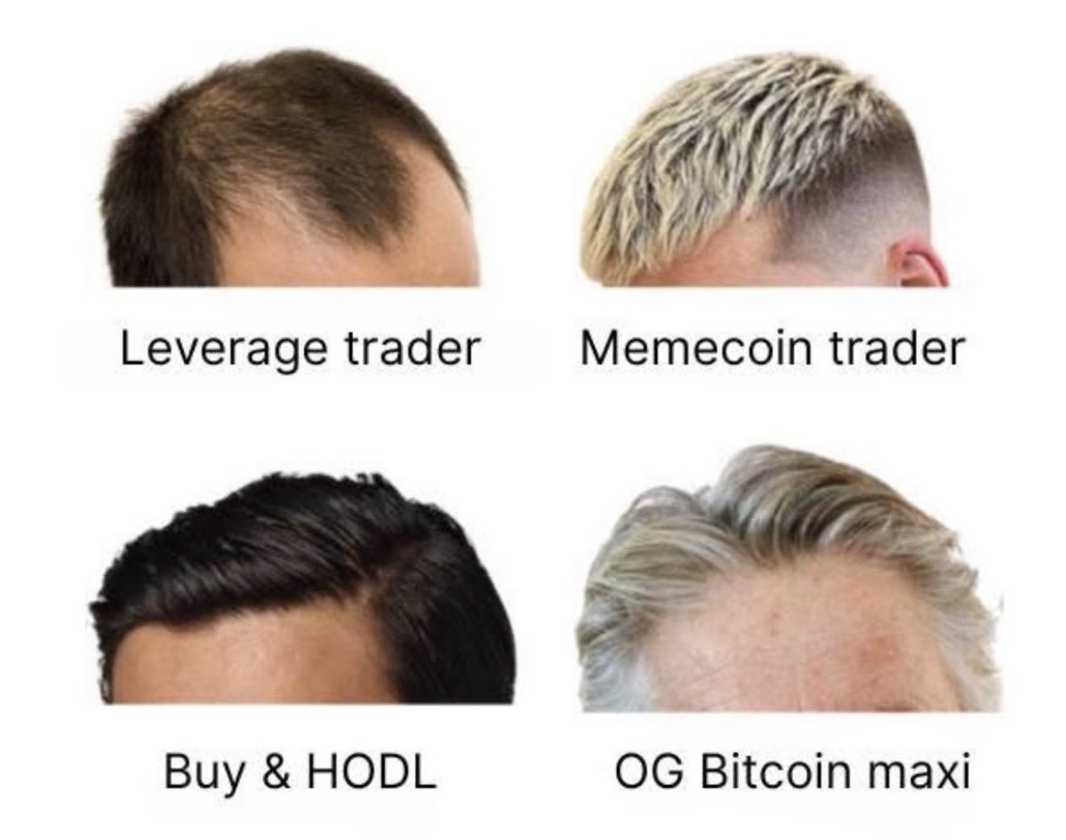 pavelhedev's tweet image. 