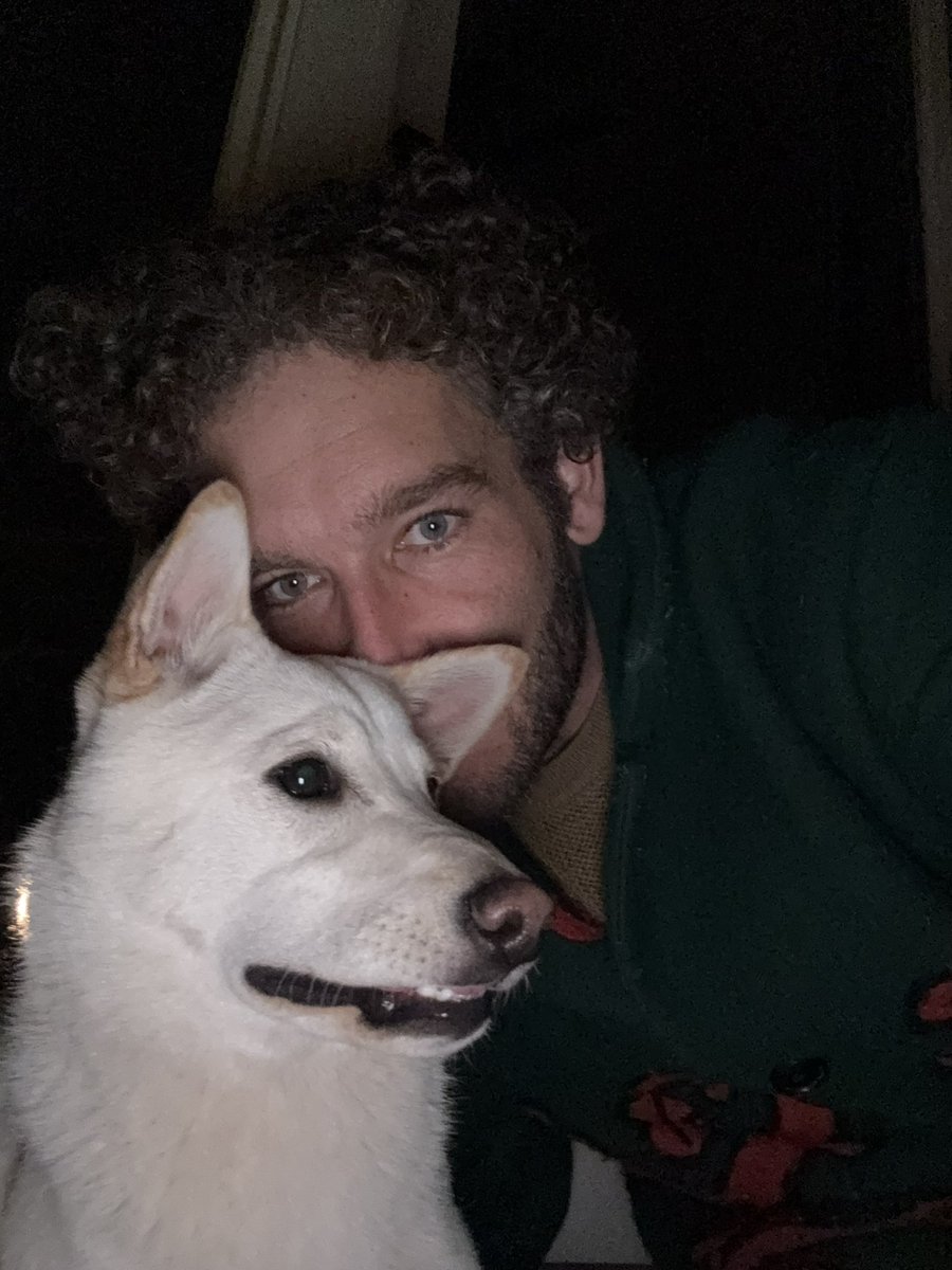 fxnction tweet media