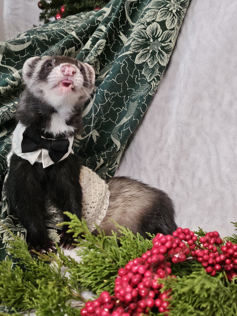 He was really trying so hard