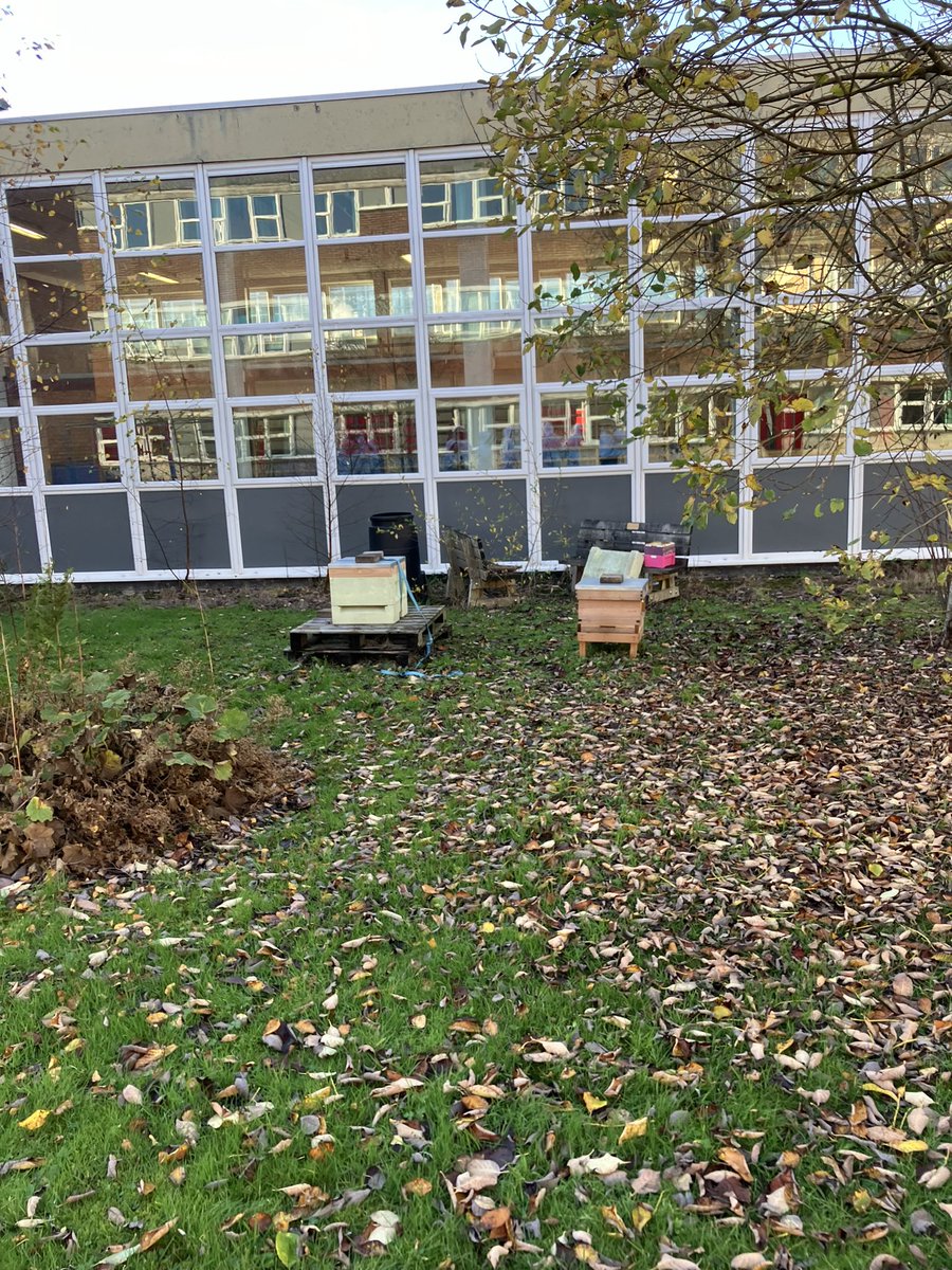 StAidansSoc tweet media