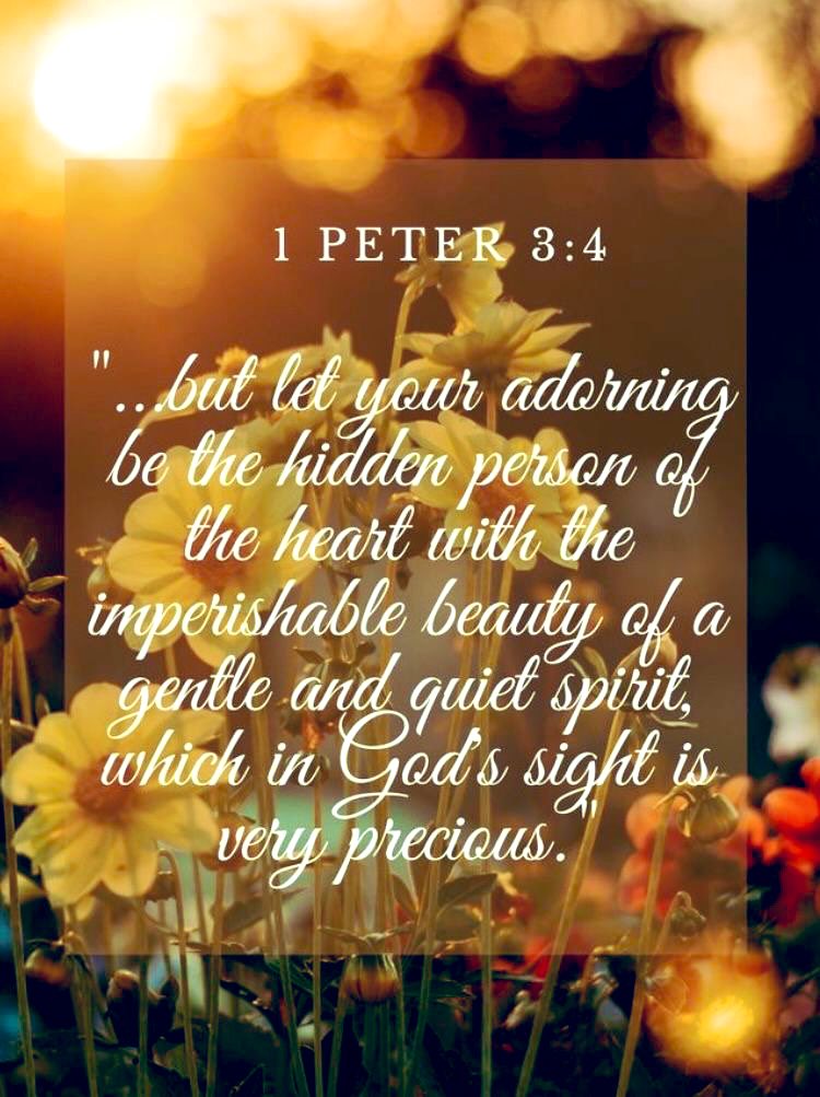 1 Peter 3:4
But let it be the hidden man of the heart, in that which is not corruptible, even the ornament of a meek and quiet spirit, which is in the sight of God of great price.