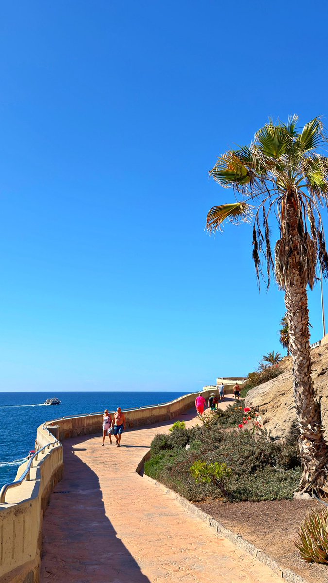 mycanaryislands's tweet image. ¡Feliz fin de semana!

#playa #beach #weekend #amadores #mogan #grancanaria #canarias #españa #mycanaryislands #fblifestyle