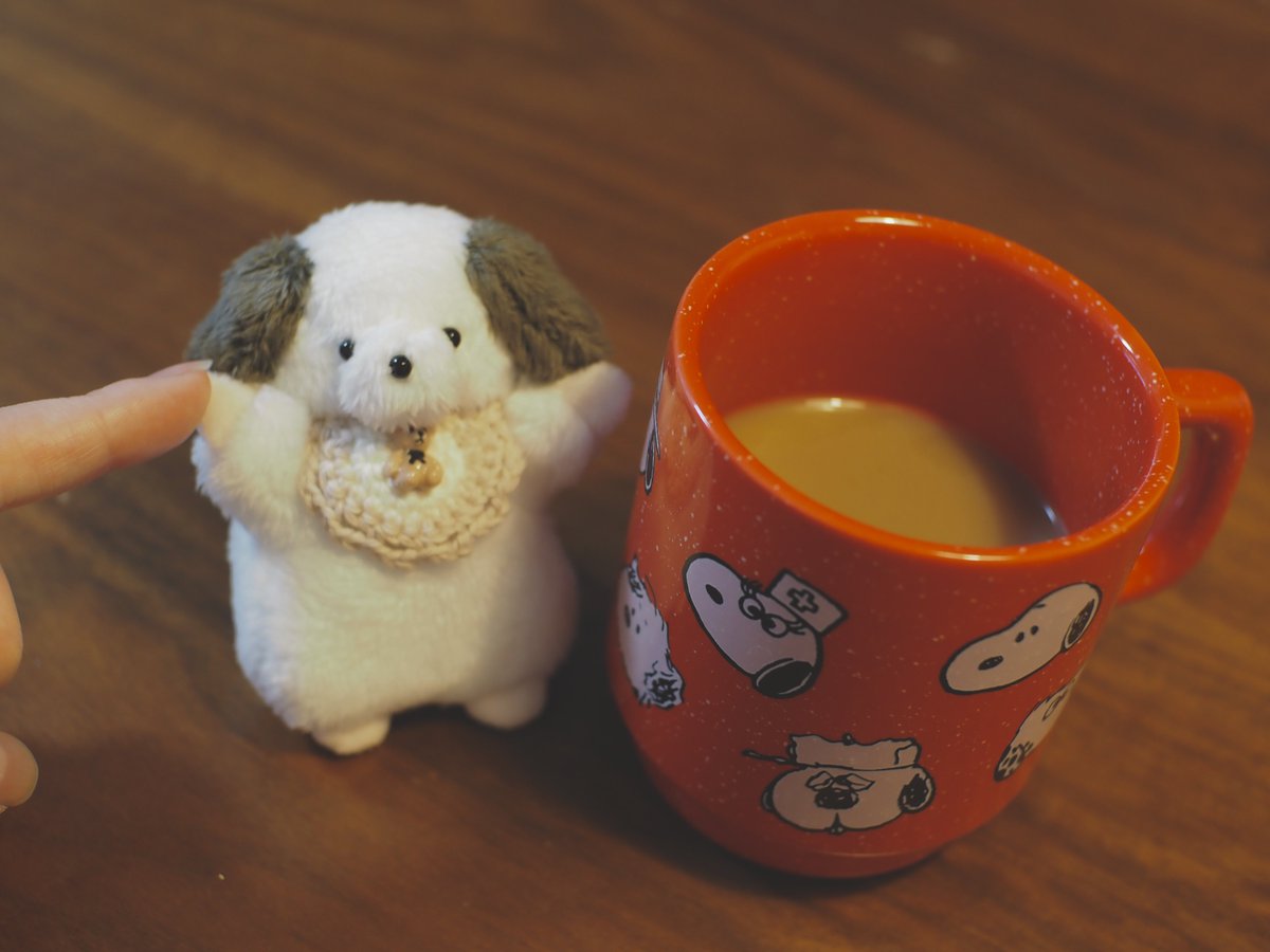 珍しく体調崩してる🤒励ましてくれるポッちゃぬ