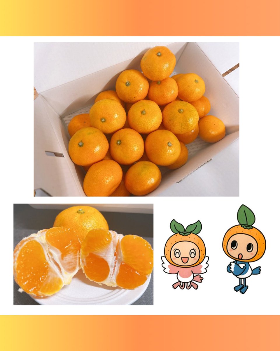 さがみかんきち【公式】 (@sagamikankichi) / Posts / X