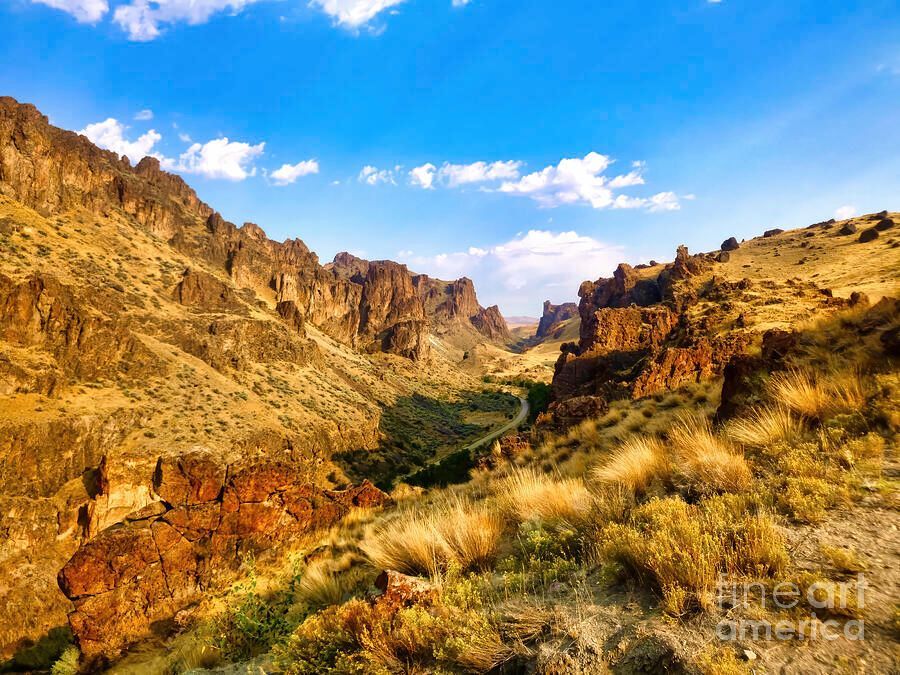 Just released! Rugged Pacific Northwest in a new fine art print 👉 buff.ly/WGA2yii 

#pacificNorthwest #SheliaHuntPhotography #BuyIntoArt #BirchCreekRanch ##FineArtPhotography #OwyheeCanyonlands