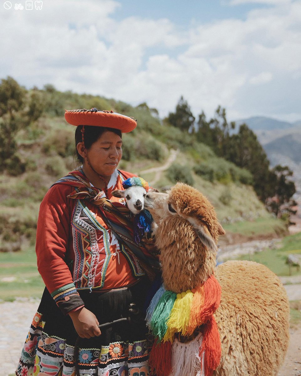 Luis Concepción tweet media