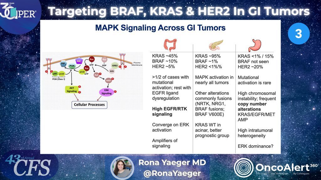 OncoAlert's tweet image. Day Three #CFS25 🚨 
Precision medicine is transforming GI oncology! Dr. Rona Yaeger dives into targeted strategies for BRAF, KRAS, and HER2 across colorectal, biliary tract, esophageal, and pancreatic cancers, highlighting the move beyond traditional treatments. #GIOncology…