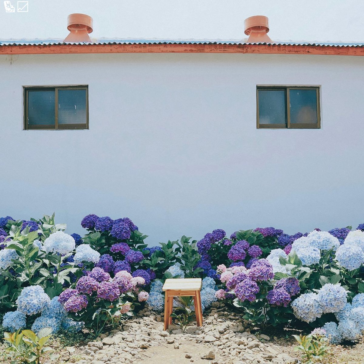 future innovation code when stay curious always. vibes smile smile time vibes🎁🎵558