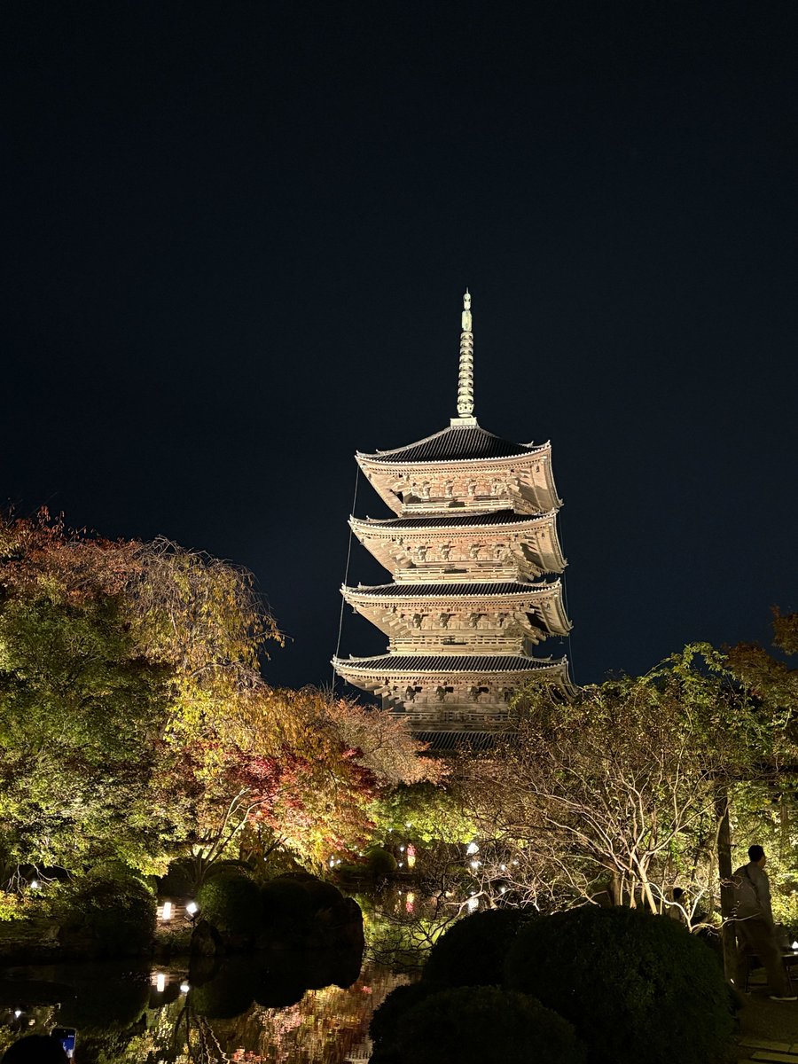 LabTakei's tweet image. BPCNPNP2025合同年会で医学類の学生が、若手優秀発表賞を受賞しました🎉
#医学類 #BPCNPNP2025合同年会
neurosci.tsukuba.ac.jp/~takeilab/inde…