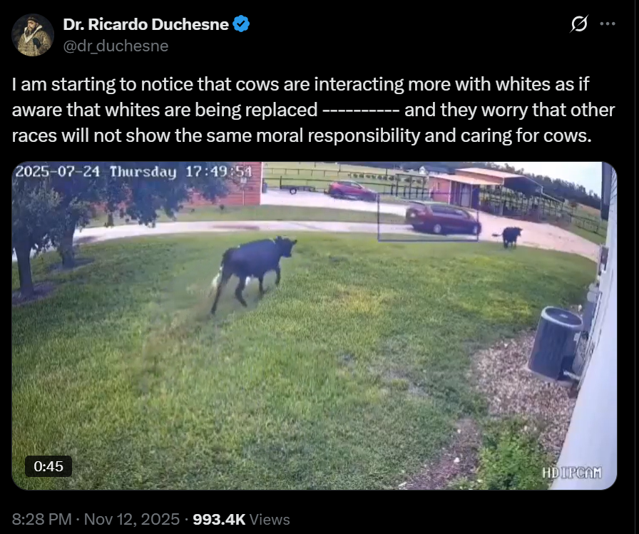 Fascinating things happening on Twitter Dot Com lol

We're so past the point of no return on being mind-fried.
Maybe some future generation completely insulated from social media will normalize and take care of us all in homes for those suffering from internet-psychosis.