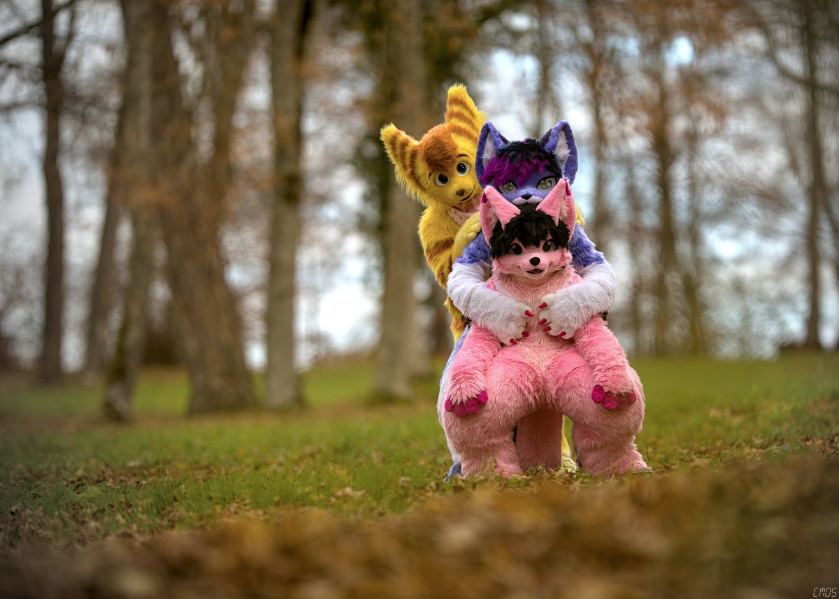 Happy #FursuitFriday
<a href="/zanethefox/">˗ˏˋ キツネのZane ˎˊ˗</a> <a href="/ShizahLombax/">Shizah 🇩🇪</a> 
📸 <a href="/Cmos_ThunderFox/">Cmos ThunderFox 🔜 NFC</a> 
#Furry #Fursuit