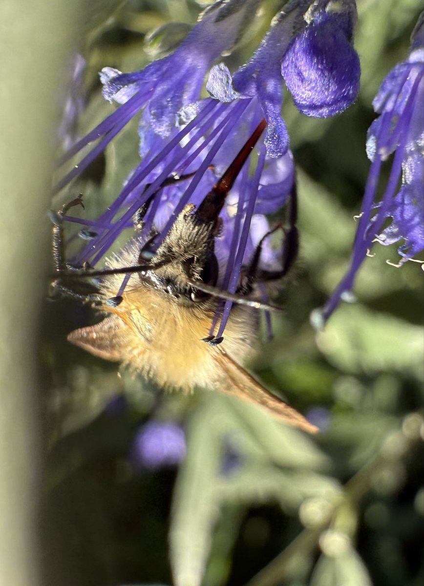 Show us your Bangor shot! 📸
QP or Repost to keep this going.