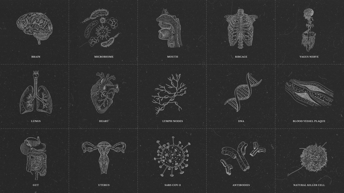 polybioRF's tweet image. Only 1 hour until the PolyBio Fall 2025 symposium begins—join us at 11 am ET for a full day of research project updates from global experts on complex chronic illness. Make sure to tag us &amp;amp; use #polybiofallsymposium2025 to share your favourite moments!

Full schedule:…