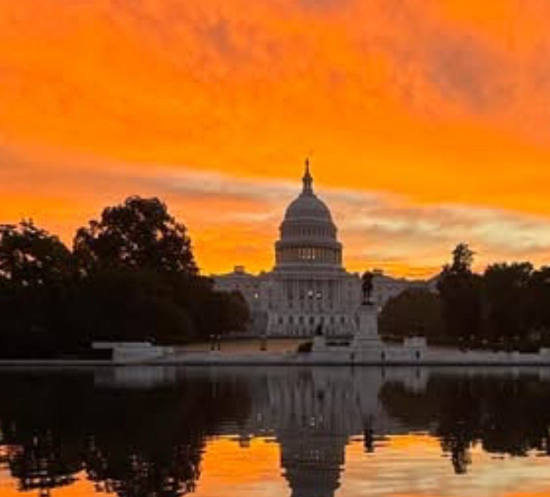 ProjectK9Hero's tweet image. Working hard today to be a “Voice for the Voiceless!” - #JJK9

PROJECTK9HERO.ORG