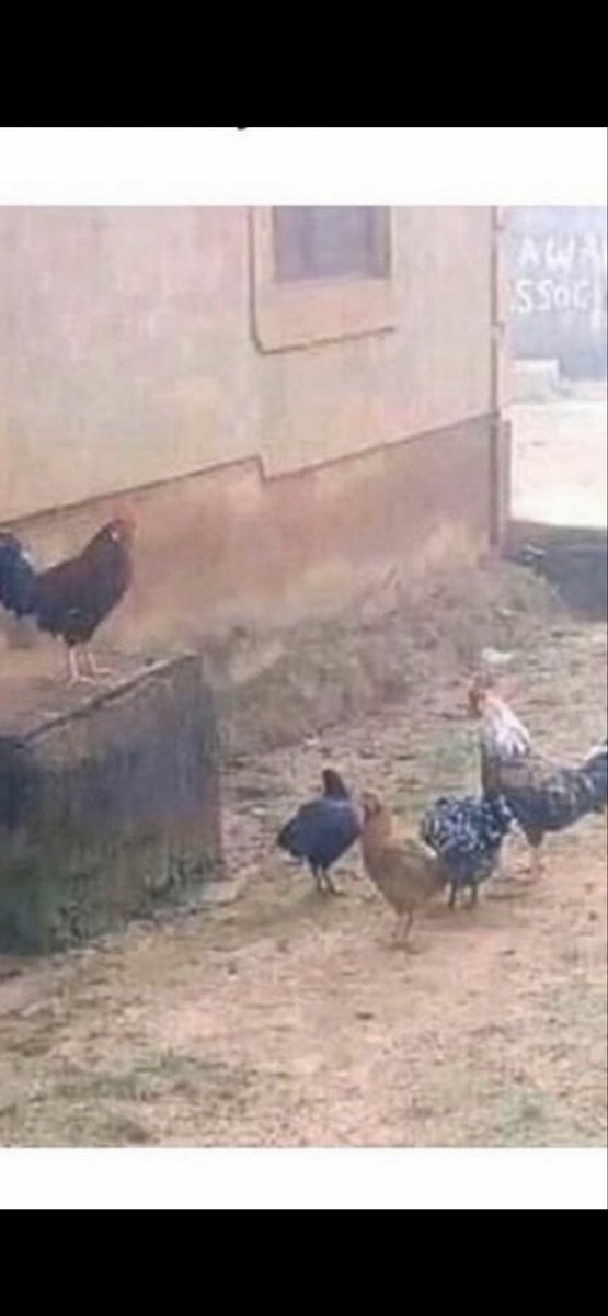 serhatuysaal's tweet image. Ben ve her twitimi okuyarak beğenen 4 takipçim.