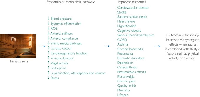 Start taking the sauna as seriously as exercise (4x a week is associated with): 
- 40% reduced all-cause mortality
- 46% lower risk of hypertension
- 63% reduced heart disease mortality
- 65% lower Alzheimer's risk
- 66% lower risk of dementia