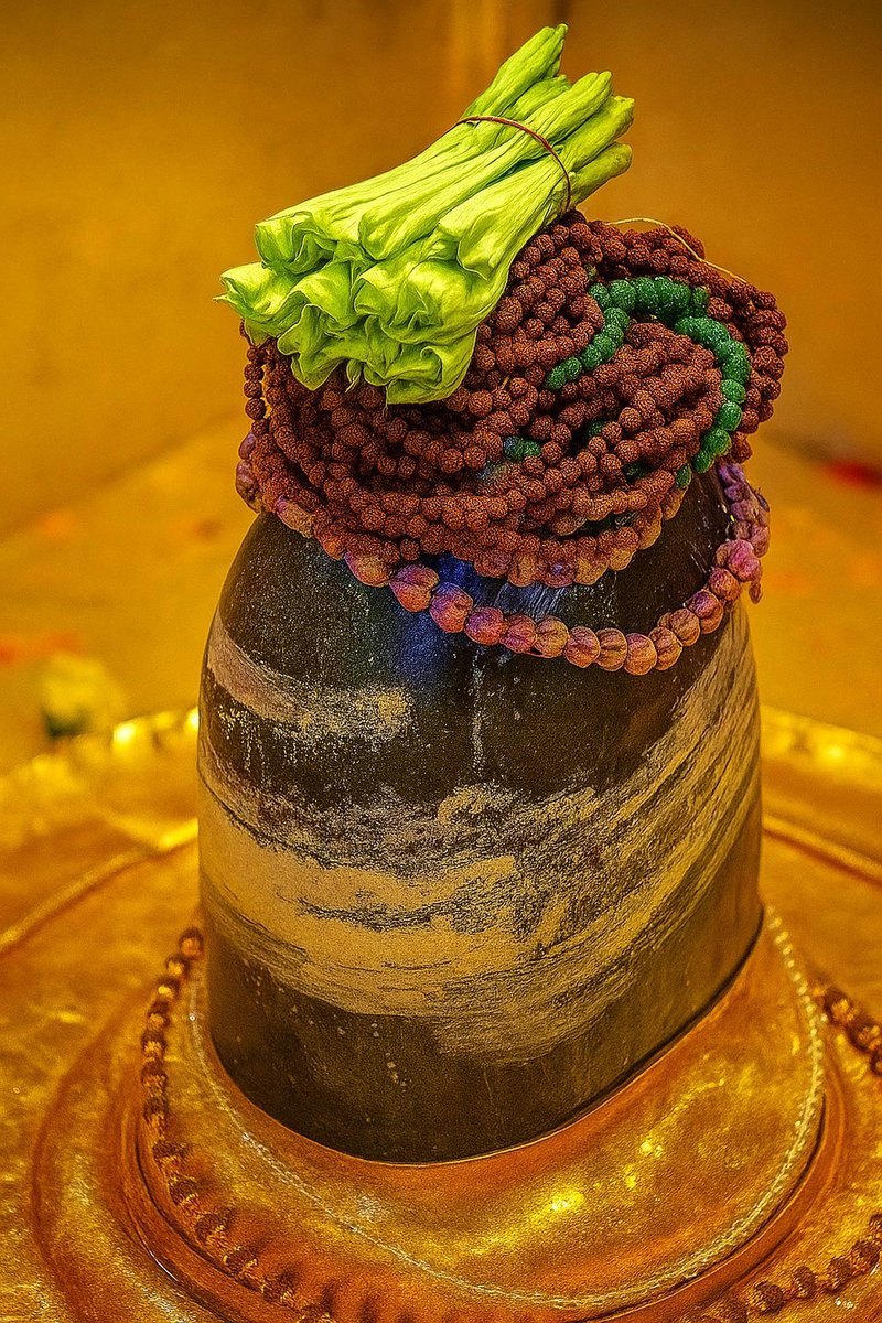 Shivi678's tweet image. काशी विश्वनाथ महादेव के दिव्य दर्शन हर हर महादेव 🔱🚩