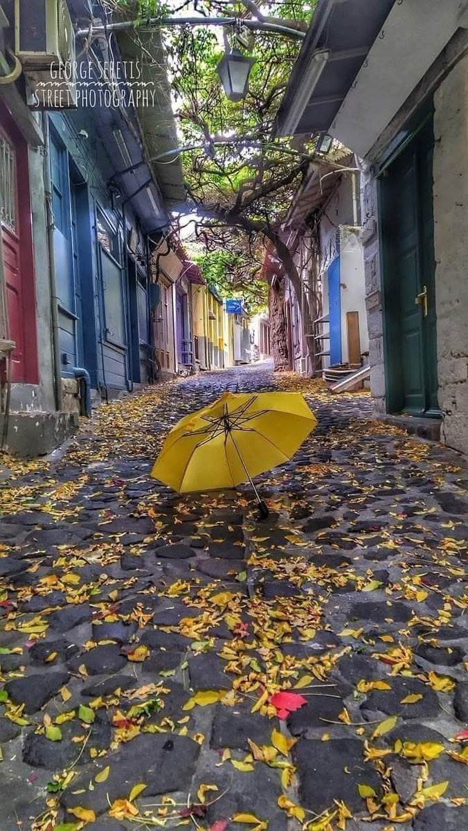 Σεργιάνι στα λιθόστρωτα δρομάκια του Μολυβου με μυρωδιά  φθινοπώρου!!!!(φωτ.G.Seretis)