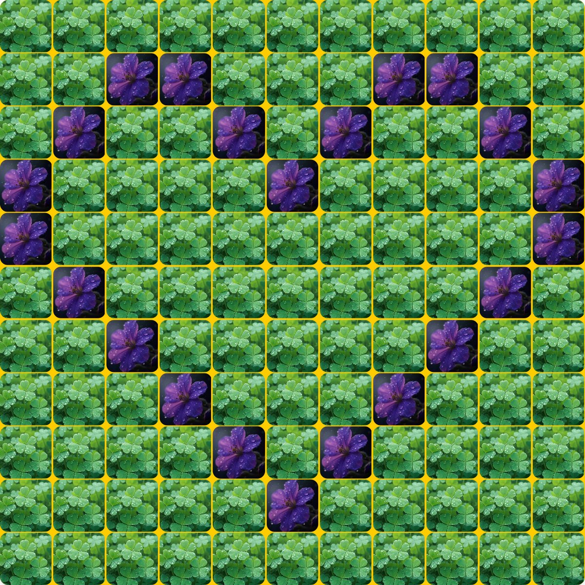 collaigo's tweet image. 121 photos' collage