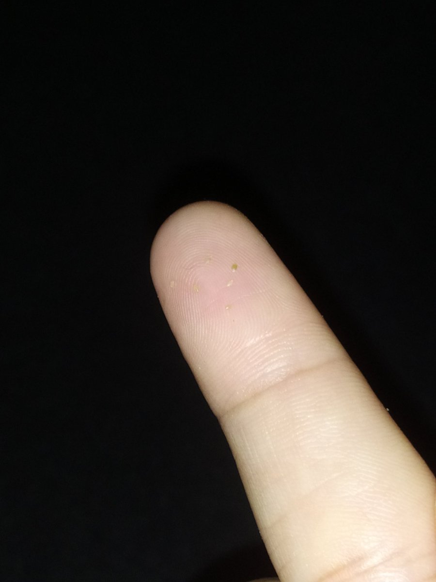 🩷 WOMANFEEDS 🩷 tweet media