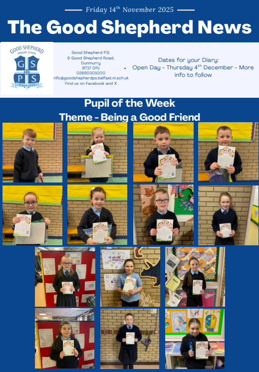 Good Shepherd Primary School tweet media