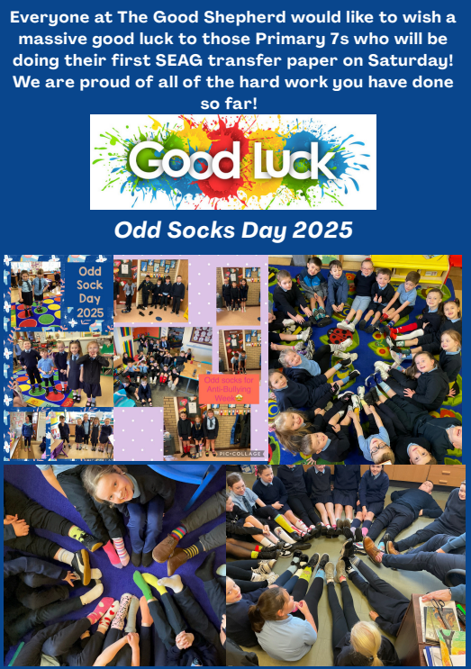 Good Shepherd Primary School tweet media