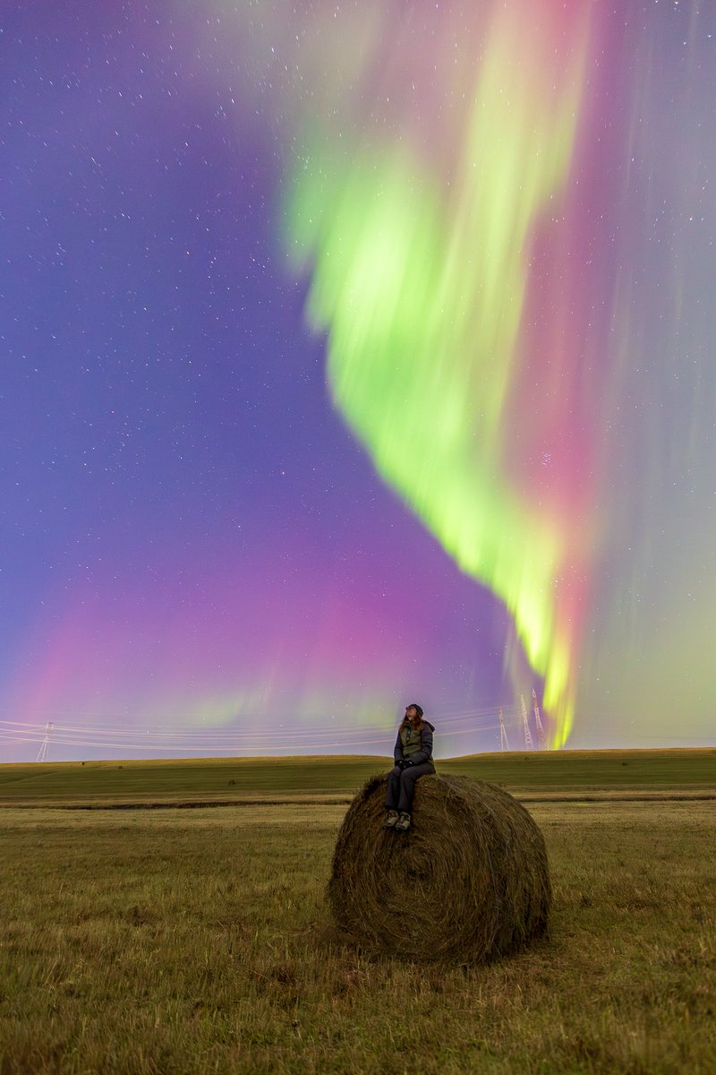 Diane Hammerling tweet media