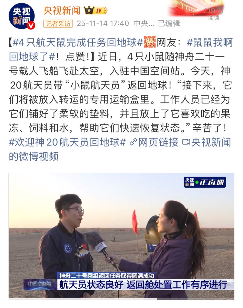 出差结束，鼠辈楷模，不枉鼠生🐭
#鼠鼠我啊 #memecoins #meme #鼠鼠文学 #小鼠航天员