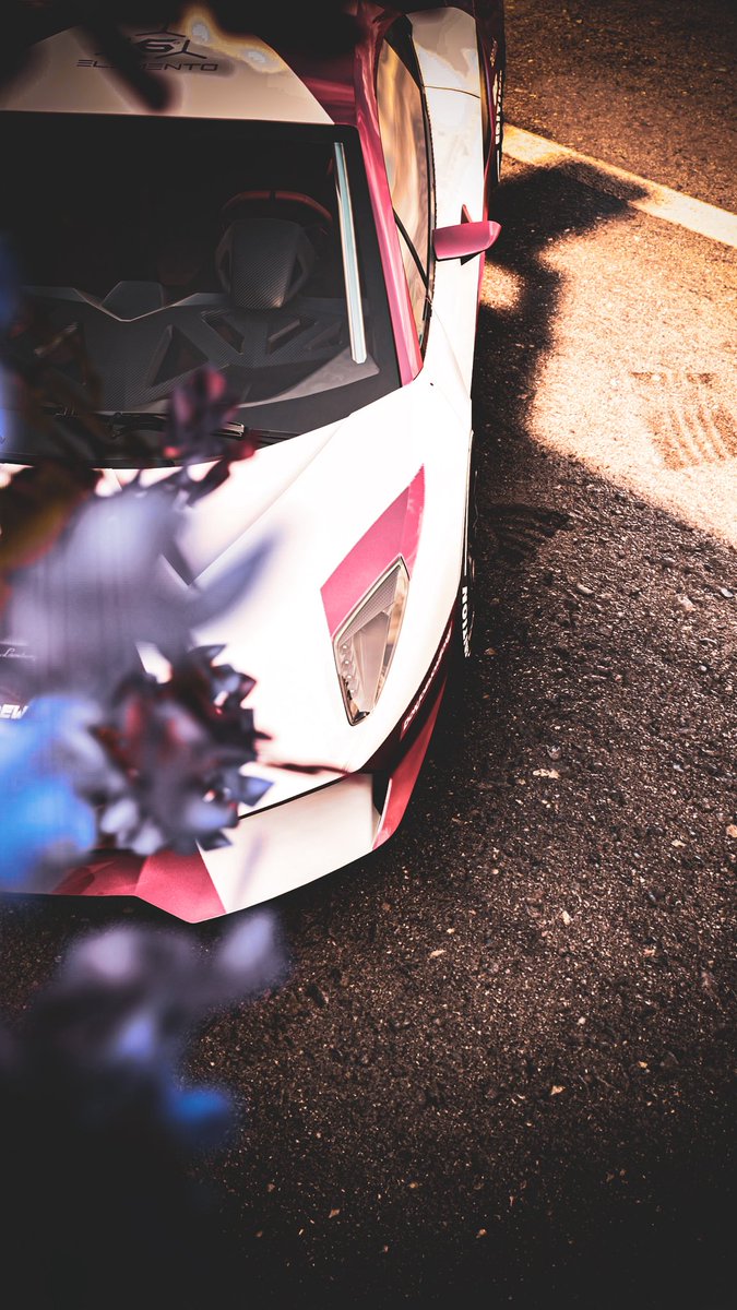 EndtY47's tweet image. Every time I hear Forza this guy comes to my mind 
@DonJoewonSong 

#ForzaHorizon5 #ForzaShare #VGPunite
#PlayStation5 #ThePhotoMode