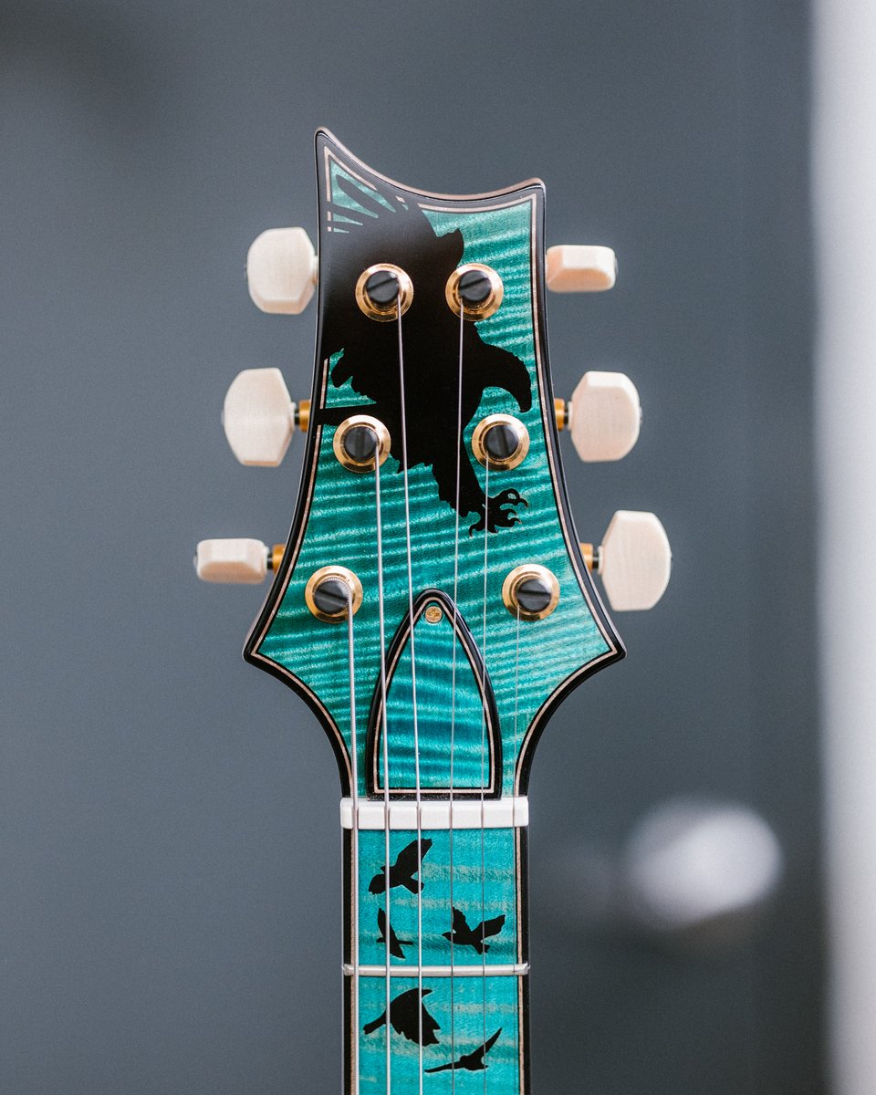 prsguitars's tweet image. Serving up some Piezo Perfection 🤩 Happy #privatestockfriday!