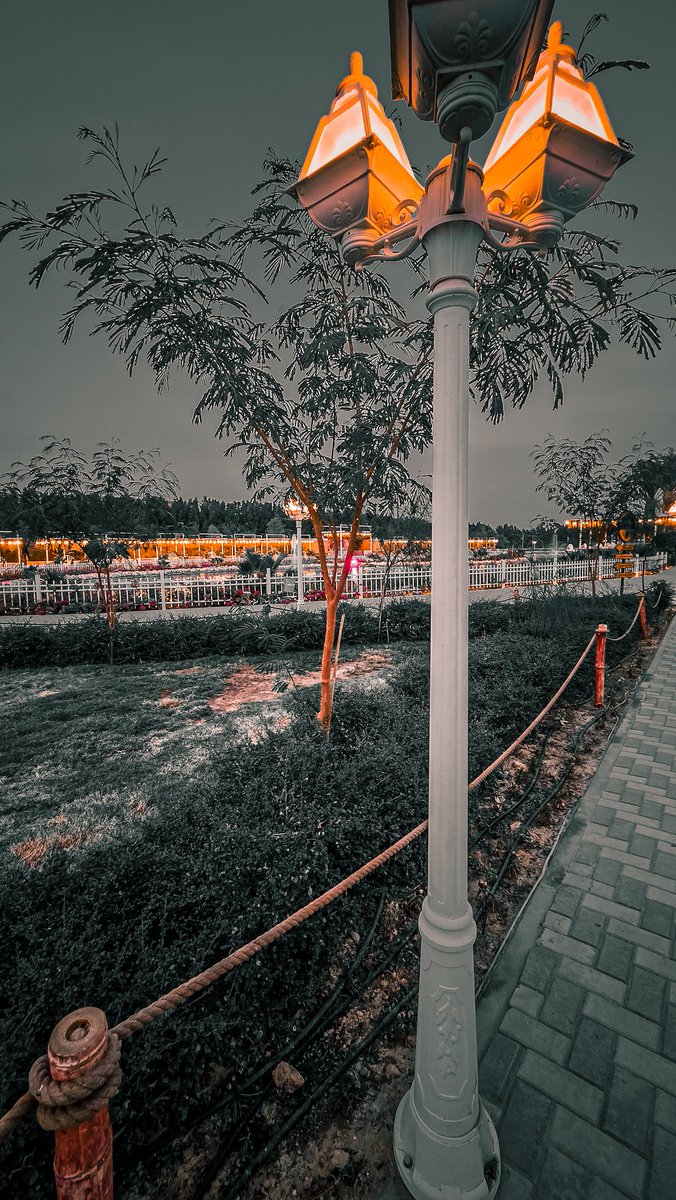 وليد الدلح (@aldala7) on Twitter photo 