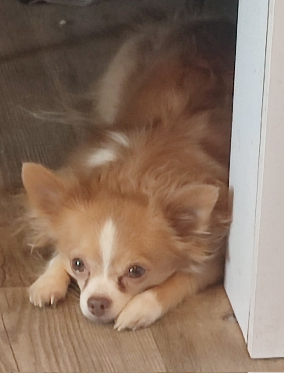 404ErrorNotFo15's tweet image. Hugsy/Hugsy