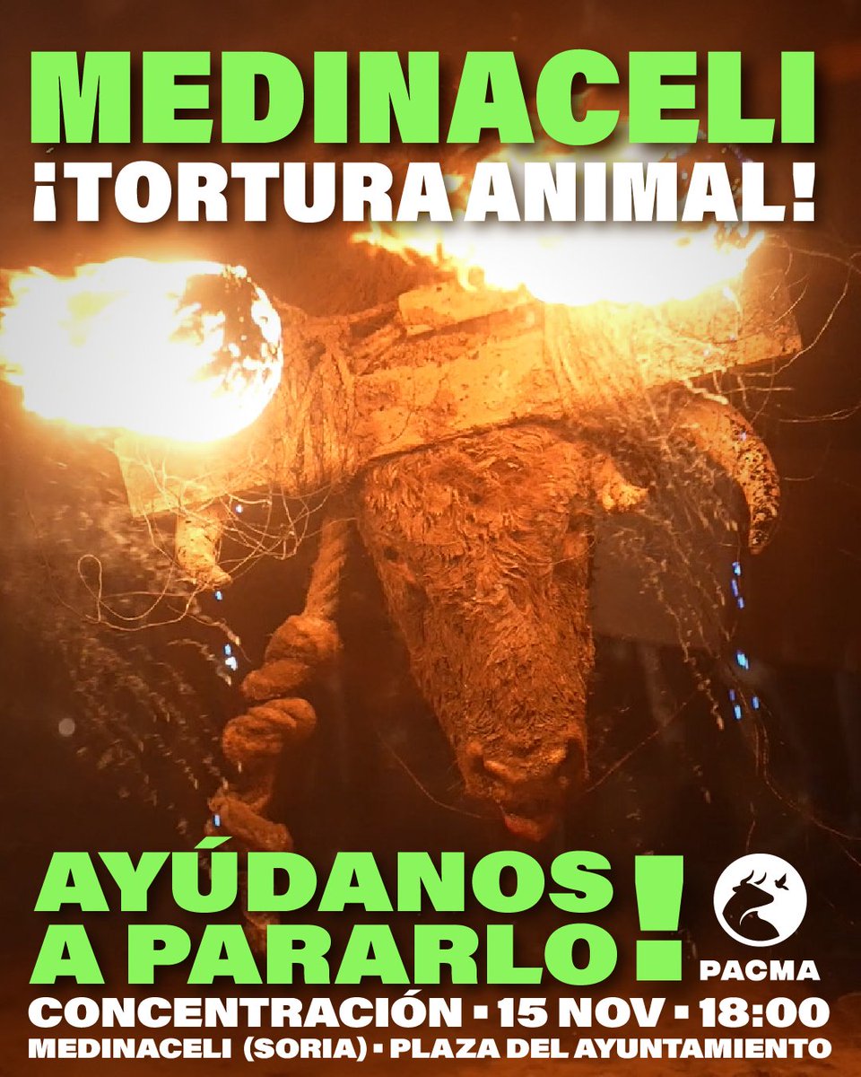 ❌Medinaceli es el pueblo de la tortura animal.

📣¡Esta tarde nos concentramos en Medinaceli contra el Toro Jubilo!

🐂Mientras luchamos en los despachos para acabar con esta terrible tradición, ¡también lo hacemos en la calle!

👉Ven esta tarde a las 18:00 a la Plaza del