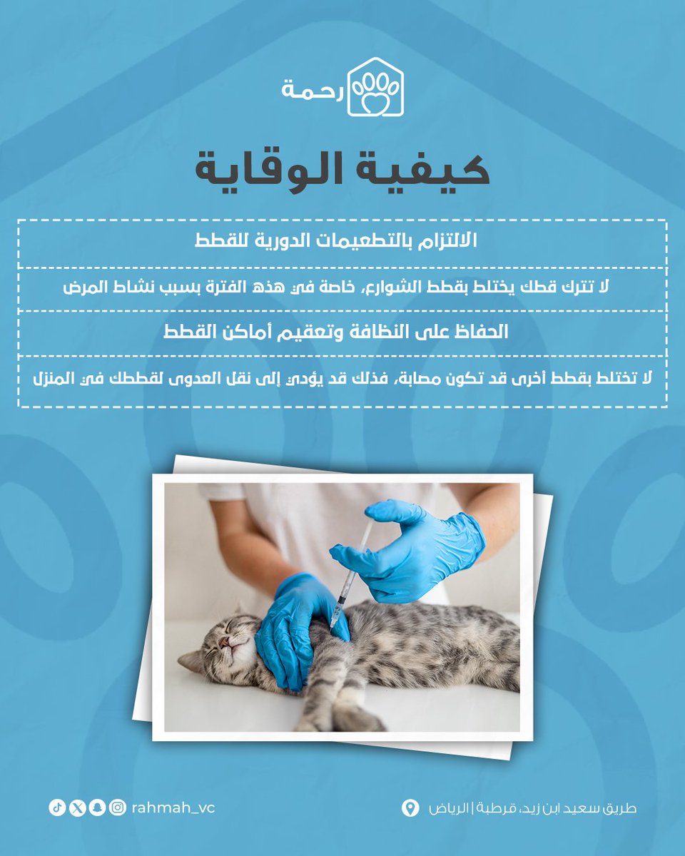 خطر طاعون القطط رجع ينتشر هالفترة ⚠️

لا تنتظر ظهور الأعراض!
الفحص المبكر ممكن ينقذ حياة أليفك ❤️‍🩹

📞 للحجز والاستفسار: 0509730031
📍 طريق سعيد بن زيد، قرطبة | الرياض

#عيادة_رحمة_البيطرية #طاعون_القطط #فحص_مبكر