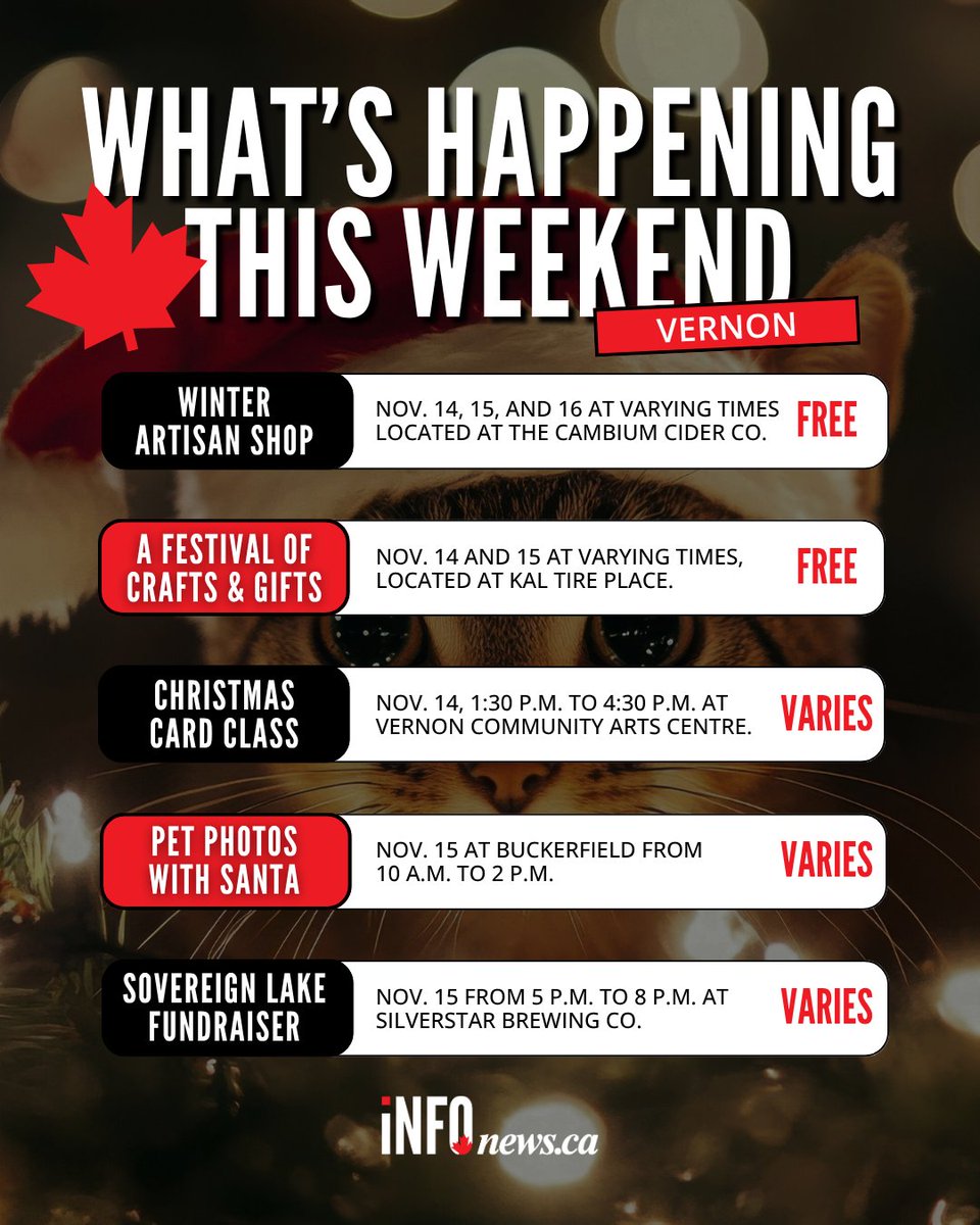infonewsvernon's tweet image. Trying to avoid the cloudy gloom by getting festive? We’ve got you covered with the top five events happening across Kelowna, Vernon, Penticton and Kamloops this weekend. 🎄

Check out more information on each event: infonews.ca/news/7423973/w…

#localevents #vernonbc