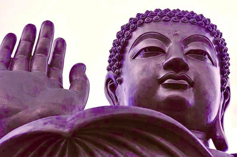 Welcome to Friday… Freedom and happiness are found in the flexibility and ease with which we move through changes.