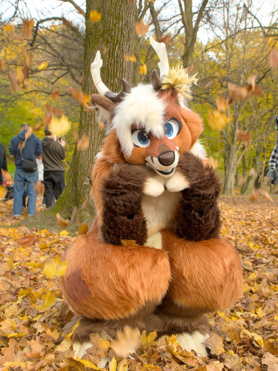 Wir haben #FursuitFriday! 🐾
Die Bäume haben schon fast all ihre Blätter abgeworfen
und färben den Boden in schönen braunen und gelblichen Tönen 🍂

Ao genoss hier sichtlich noch die letzten herbstlichen Farben auf dem letzten Münchner Suitwalk vor zwei Wochen 💛

 📸 Solus