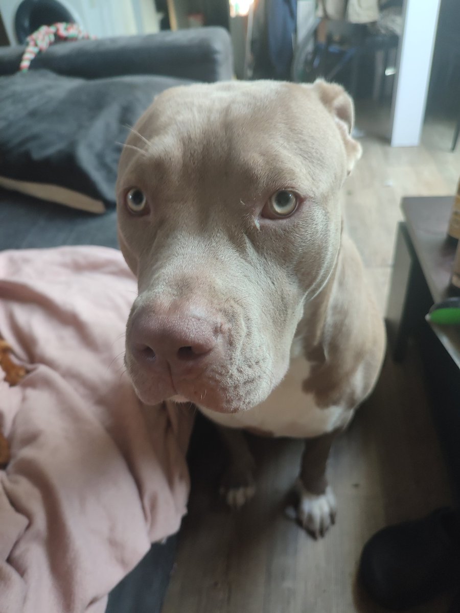 404ErrorNotFo15's tweet image. Summer/Summer