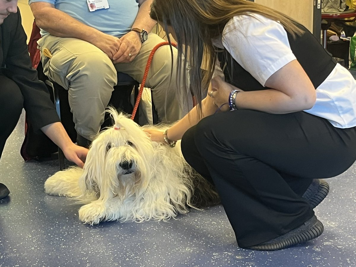 Mrs Dunn tweet media