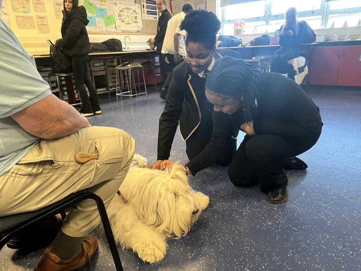 Mrs Dunn tweet media