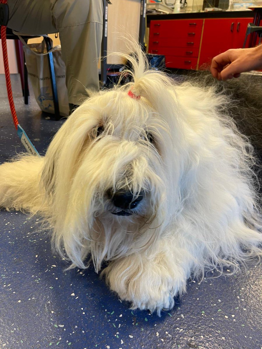 Mrs Dunn tweet media